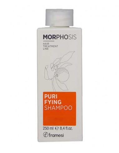 Morphosis Purifying Shampoo Morphosis Purifying Shampoo