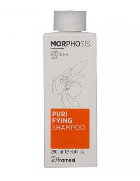 Morphosis Purifying Shampoo Morphosis Purifying Shampoo