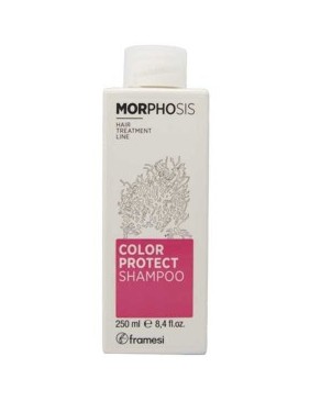 Morphosis Color Protect Shampoo
