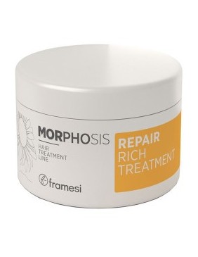 Morphosis Repair Rich Treatment