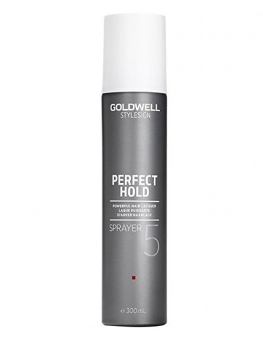 Style Sign Perfect Hold Sprayer 5 Hair Lacquer Style Sign Perfect Hold Sprayer 5 Hair Lacquer