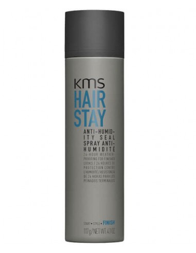 Hair Stay Anti Humidity Seal Spray New Pack