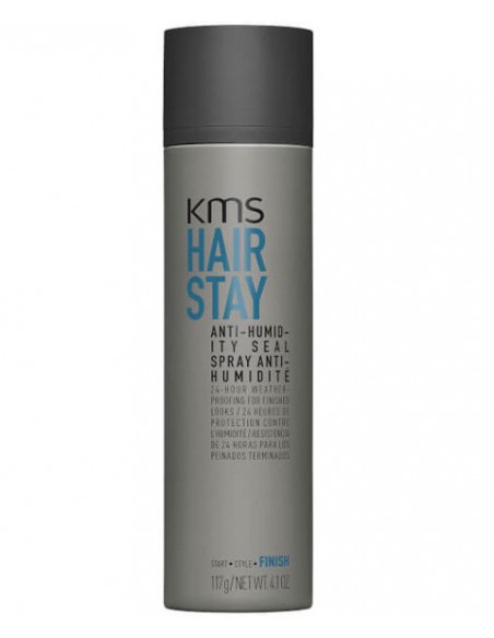 Hair Stay Anti Humidity Seal Spray New Pack