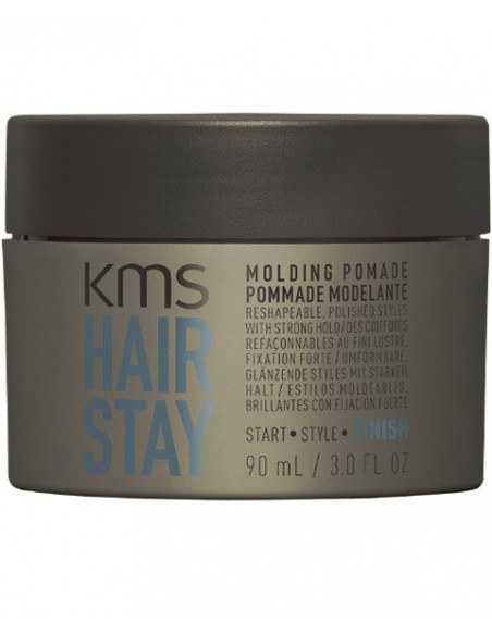 Hair Stay Molding Pomade New Pack